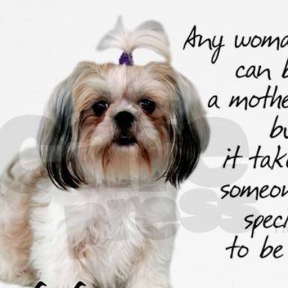 Meet your Posher, Laurie